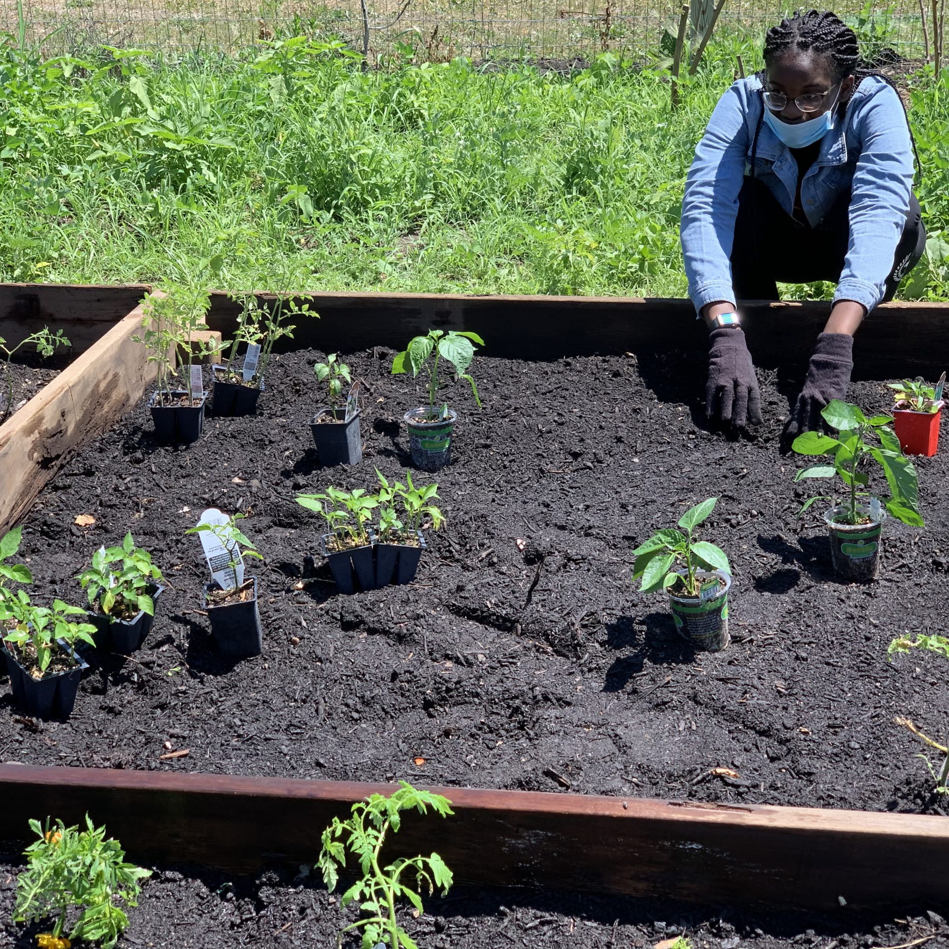 Planning the garden at Waterloo.